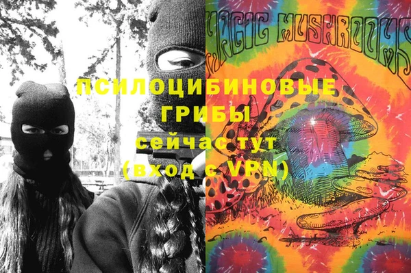 спиды Арсеньев